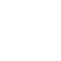 SentiSum